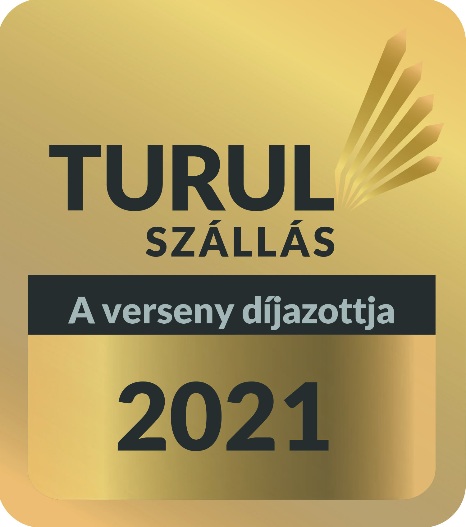 Turul díjazottak lettünk